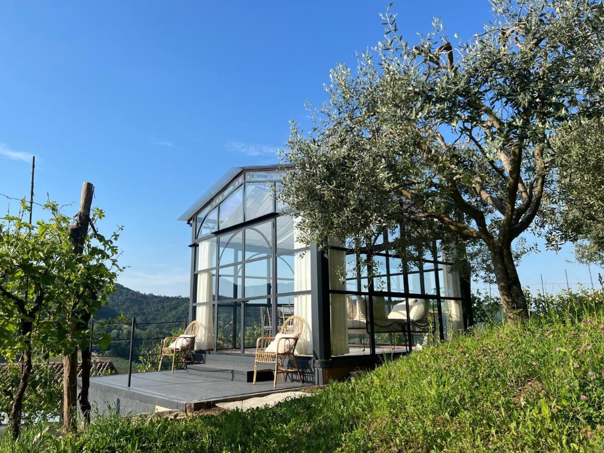 Agriturismo Il Conte Vassallo Miane Zewnętrze zdjęcie